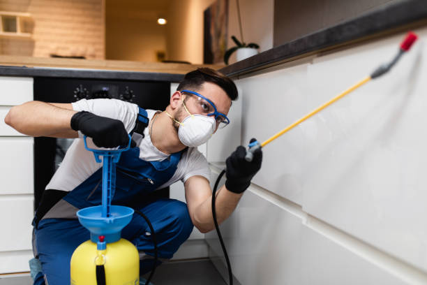 Best Pest Control Near Me in Lake Wylie, SC