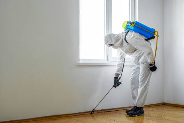 Reliable Lake Wylie, SC Pest Control Solutions