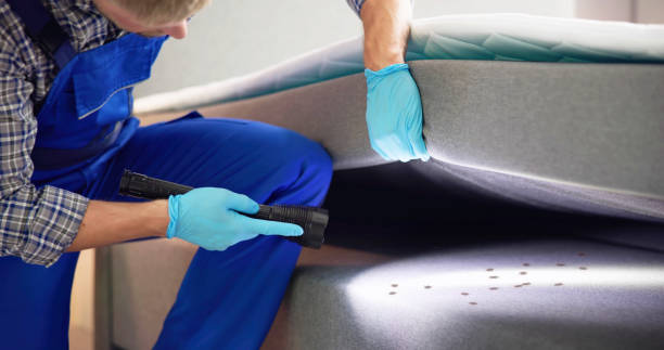 Best Pest Control Near Me  in Lake Wylie, SC