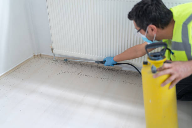 Best Affordable Pest Control Services  in Lake Wylie, SC